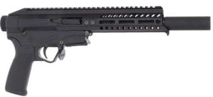 PSG 22LR 7" MLOK QD END CAP PISTOL