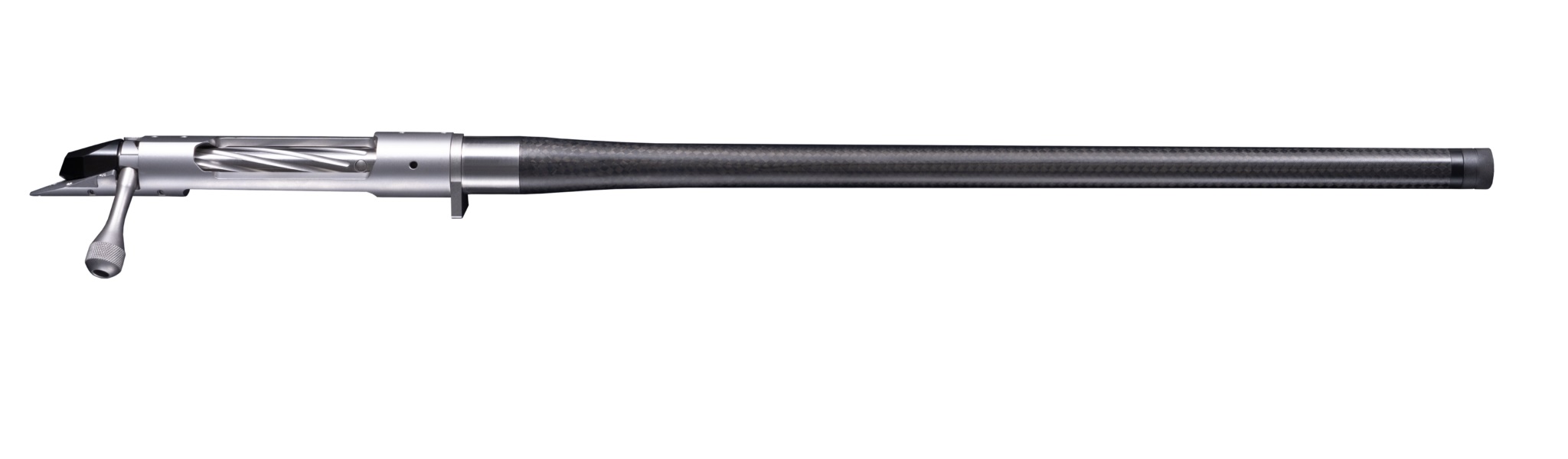 bgno6028f-1.jpg
