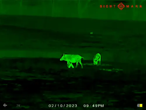 SIGHTMARK WRAITH MINI 2-16X35 - THERMAL RIFLE SCOPE 384X288 - Image 9