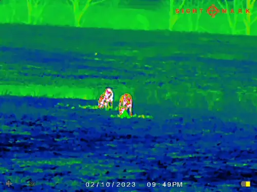 SIGHTMARK WRAITH MINI 2-16X35 - THERMAL RIFLE SCOPE 384X288 - Image 11